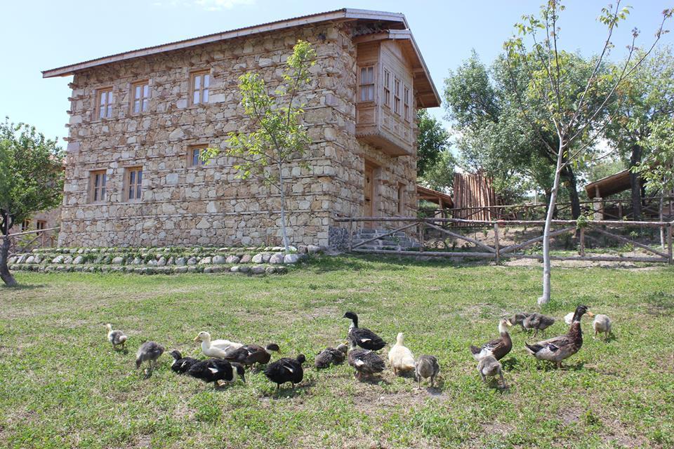 Yasayan Koey Kizilcasogut Exterior foto