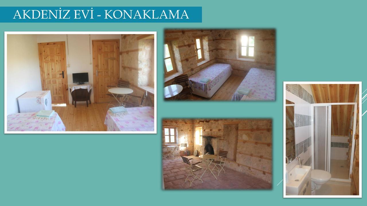 Yasayan Koey Kizilcasogut Exterior foto