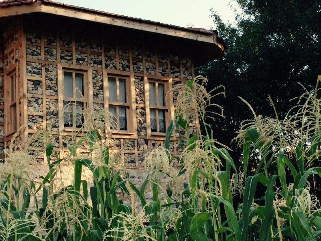 Yasayan Koey Kizilcasogut Exterior foto