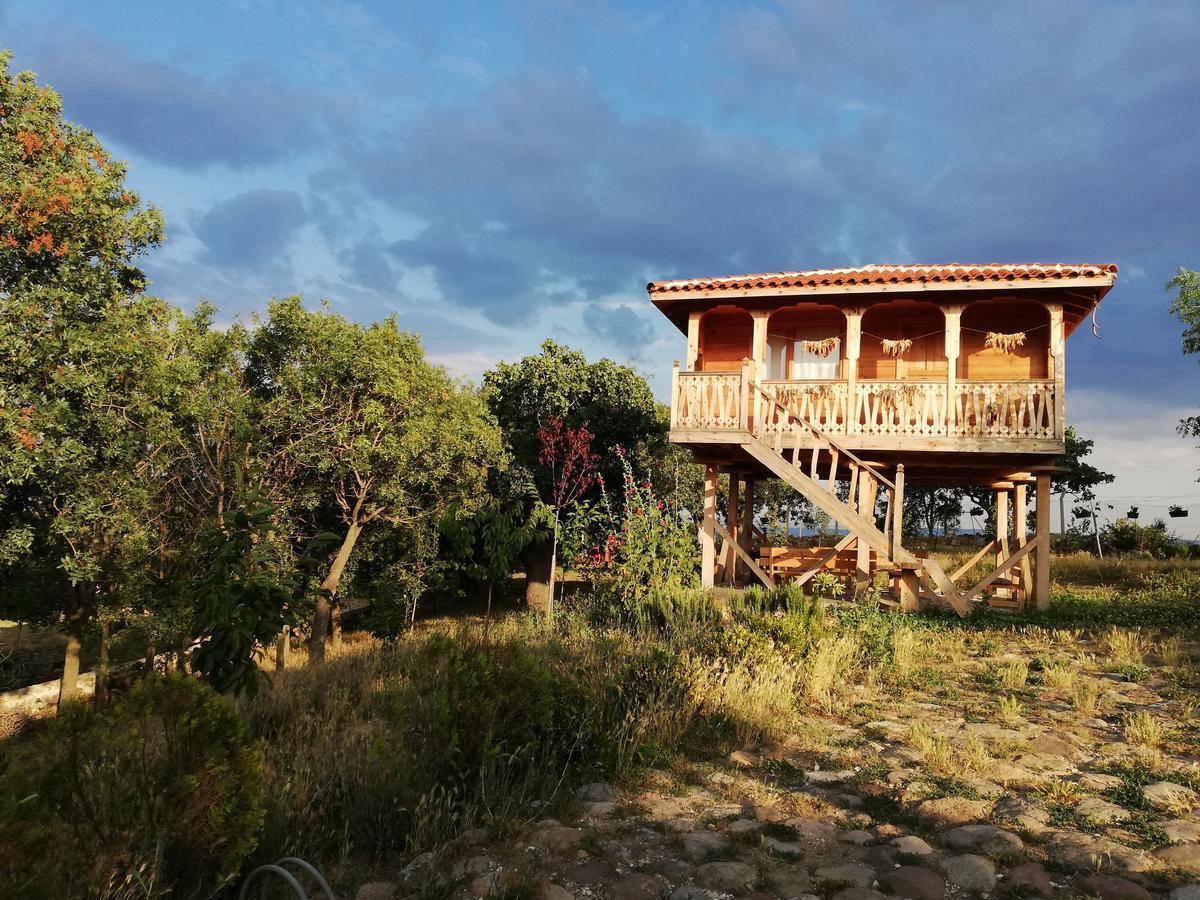Yasayan Koey Kizilcasogut Exterior foto